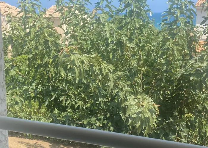 Tatil Evi La Beneciola, Vue Mer, Box Fibre Sfr, High Speed Internet Cervione